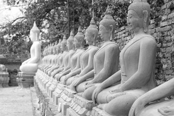 Ab everyone can became a buddha