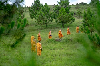 What is sangha 1